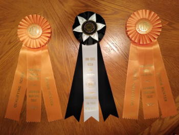 AKC champion Braque du Bourbonnais