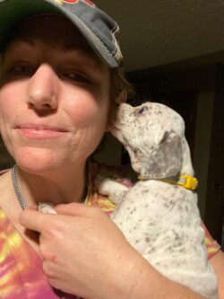 trained duck dogs