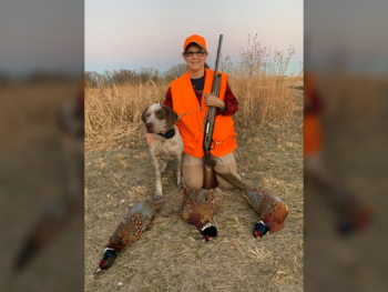 gundog breeders puppies near me