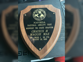navhda registered pointers