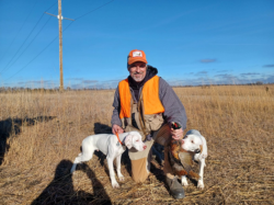 pointer puppies for sale near me arkansas gundog breeders