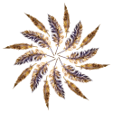 Untitled design - 2022-11-01T231645.975